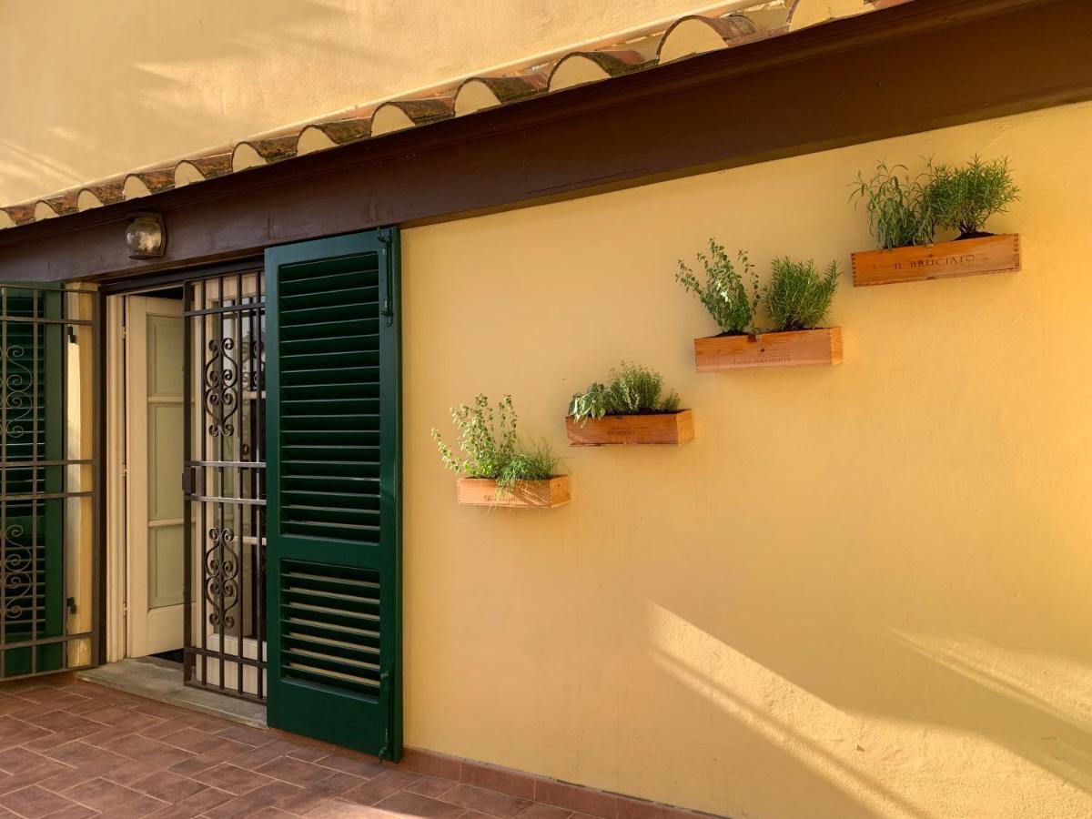 La Terrazza Di Via Elisa Bed & Breakfast Lucca Dış mekan fotoğraf