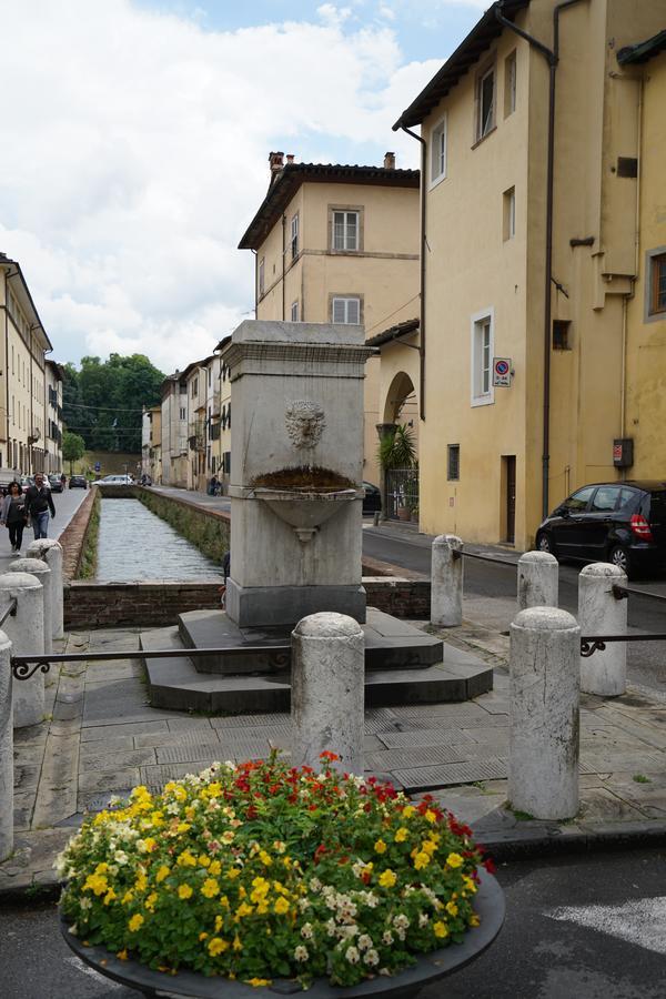 La Terrazza Di Via Elisa Bed & Breakfast Lucca Dış mekan fotoğraf